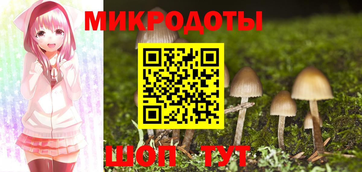 купить наркотики цена  Вход с VPN  Михайловск  Галлюциногенные грибы прущие грибы  Псилоцибиновые грибы ЛСД 