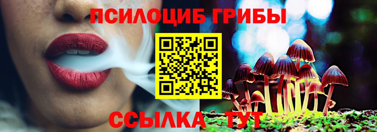 Псилоцибиновые грибы MAGIC MUSHROOMS Михайловск